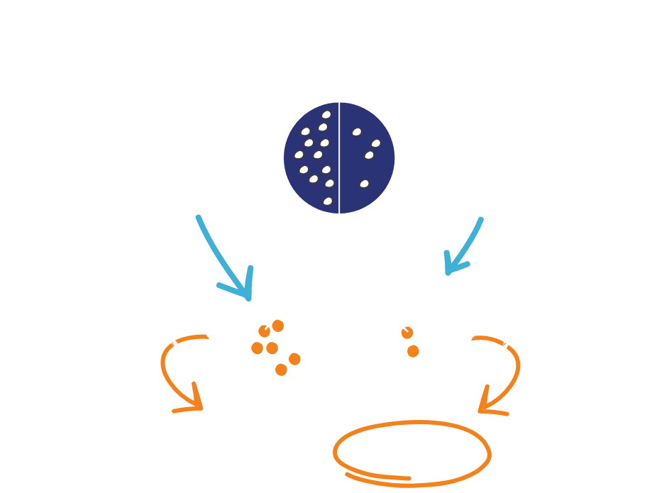 Illustration of TK2 enzyme with and without TK2d