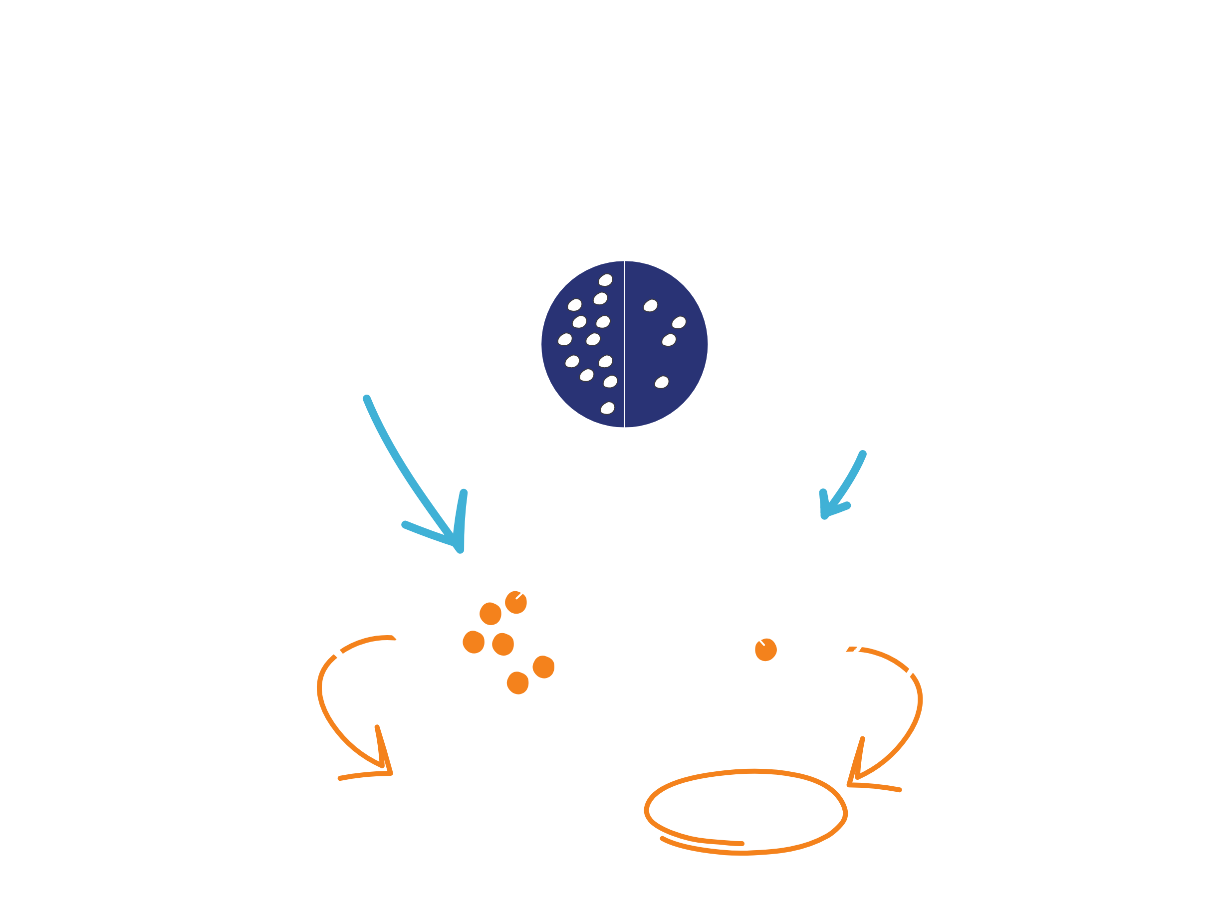 Illustration of TK2 enzyme with and without TK2d